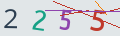 verifycode